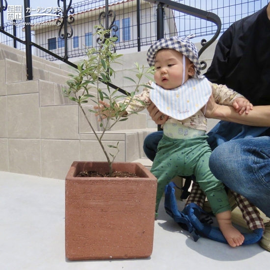 植樹後の記念写真