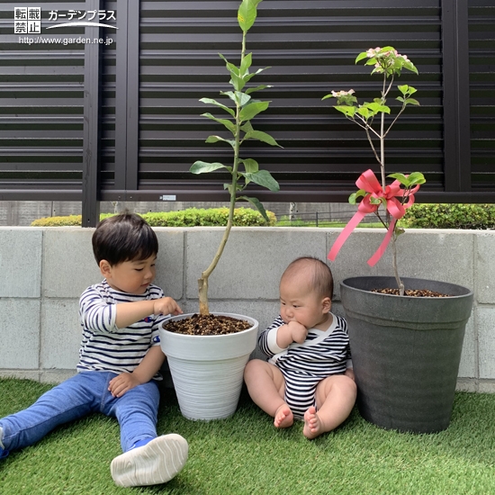 植樹後の記念写真