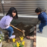 植樹の様子