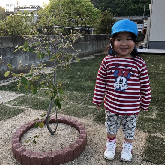 ジューンベリー植樹後の記念写真