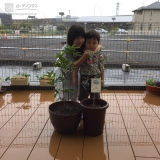 植樹後の記念写真