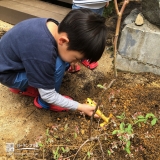 植樹の様子①