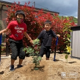 植樹したミモザ・レモンと記念撮影①