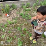 植樹したキンカンと記念撮影②