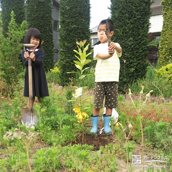 植樹したレモンと記念撮影