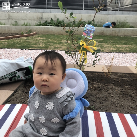 植樹したブルーベリーと記念撮影