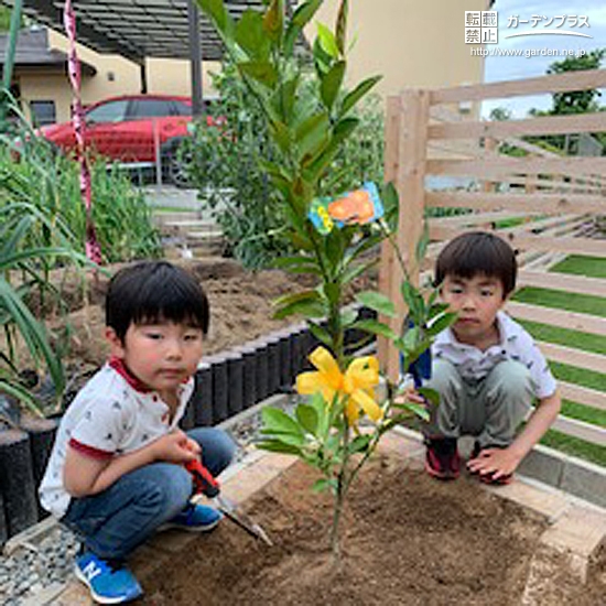 植樹した温州ミカンと記念撮影①