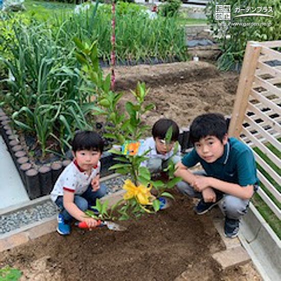 植樹した温州ミカンと記念撮影②