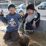 熊本県熊本市西区ジューンベリーとオリーブの植樹風景