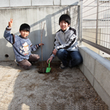 熊本県熊本市西区ジューンベリーとオリーブの植樹風景