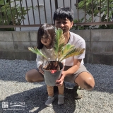 植樹したソテツと記念撮影