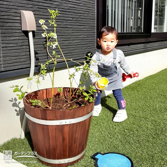 植樹したブルーベリ０と記念撮影