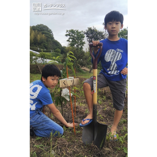 植樹したクリと記念撮影