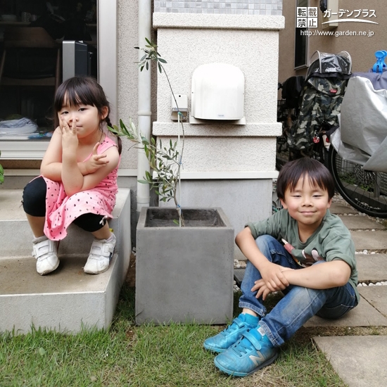 植樹したオリーブと記念撮影