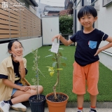 植樹したレモン、オリーブと記念撮影