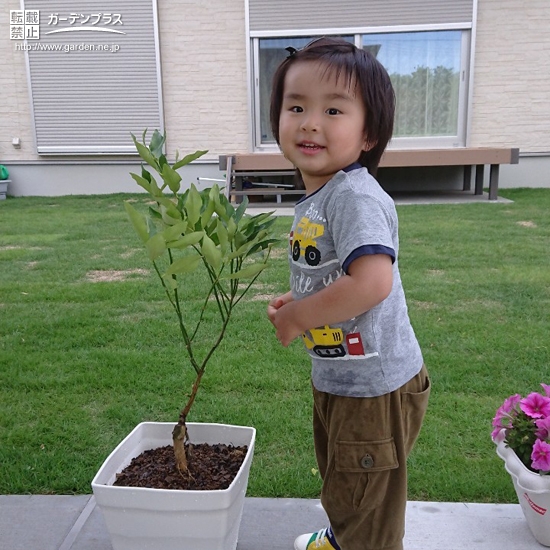 植樹したキンカンと記念撮影①