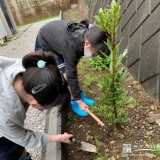 植樹の様子