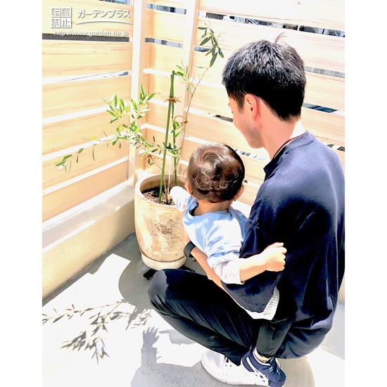植樹したオリーブと記念撮影②