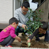 熊本県菊池郡菊陽町もみじ（カエデ）とキンカンの植樹風景