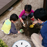 熊本県菊池郡菊陽町もみじ（カエデ）とキンカンの植樹風景