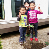 熊本県菊池郡菊陽町もみじ（カエデ）とキンカンの植樹風景