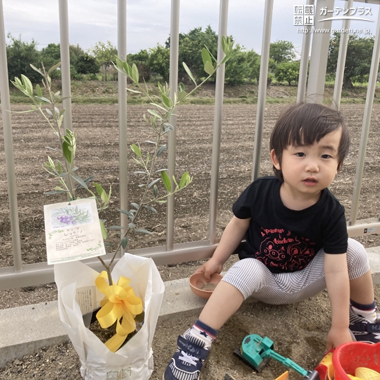 オリーブ植樹前の記念写真