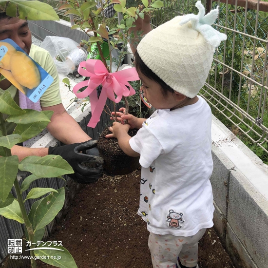 植樹の様子①