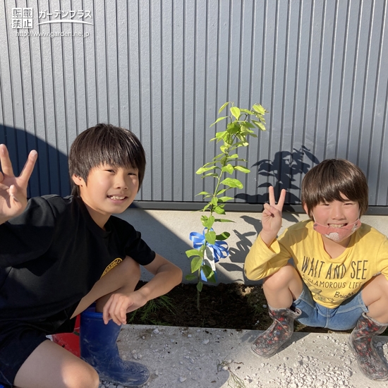 レモン植樹後の記念写真