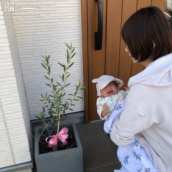 オリーブ植樹後の記念写真