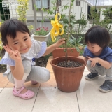 植樹後の記念写真