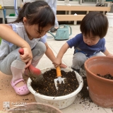 植樹の様子