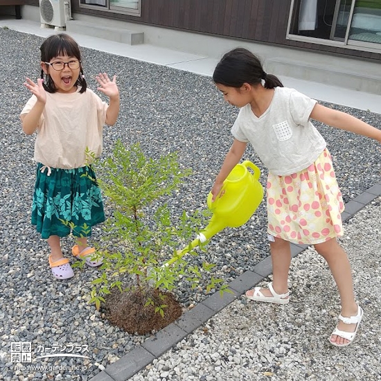 植樹の様子②