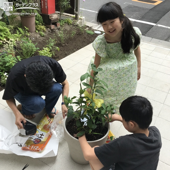 植樹の様子