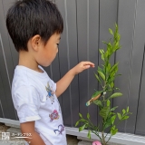 植樹後の記念写真