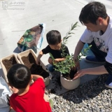 植樹の様子