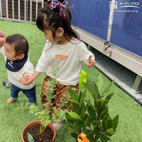 植樹後の記念写真