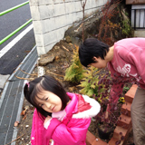 東京都日野市ジューンベリーと紅葉トキワマンサクの植樹風景