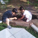 植樹の様子