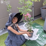 植樹の様子