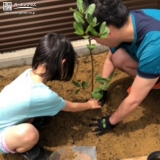 植樹の様子