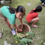 植樹の様子②