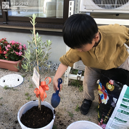 植樹の様子②