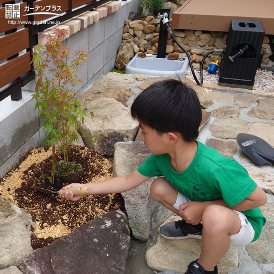 植樹の様子