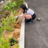 ハナミズキ植樹の様子