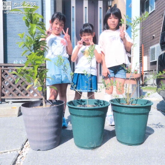 植樹後の記念写真