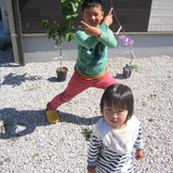 高知県安芸郡芸西村ジューンベリーとレモンの植樹風景