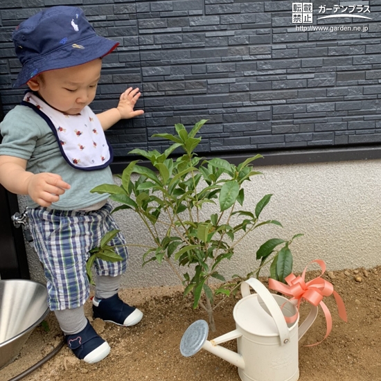 植樹後の記念写真