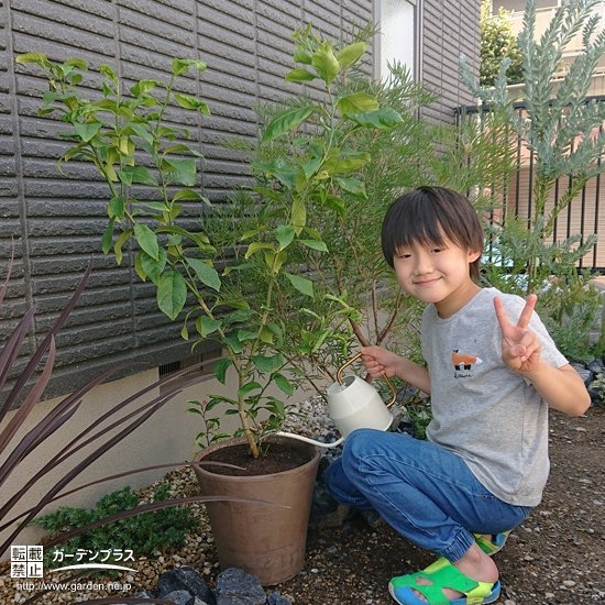 植樹したレモンと記念撮影