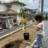 植樹前のレモンと記念撮影