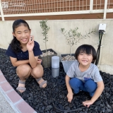 植樹したオリーブと記念撮影①